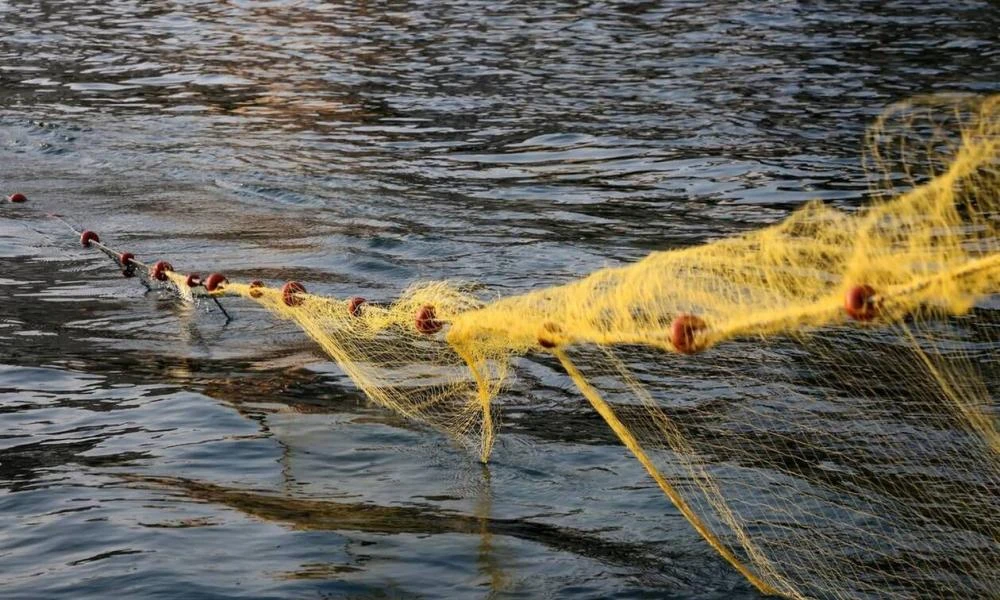 Αλεξανδρούπολη: Απαγόρευση αλιείας από τις 15 Απριλίου έως τις 30 Μαΐου